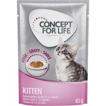 Concept for Life All Cats 10+ pour chat