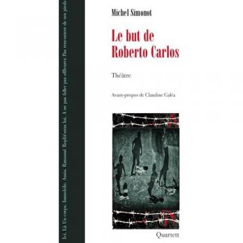Le but de Roberto Carlos