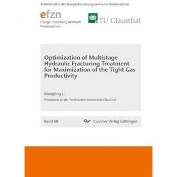 Optimization of Multistage Hydraulic Fracturing Treatment for Maximization of the Tight Gas Productivity (Band 58) (Schriftenreihe des Energie-Forschungszentrums Niedersachsen (EFZN))