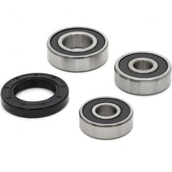 KLX110 Rear Wheel Bearing and Oil Seal