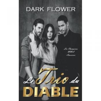 Le Trio du Diable (Les Champions MMA Amoureux, Band 2)