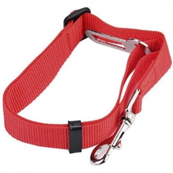 Seguridad Canina para Viajes