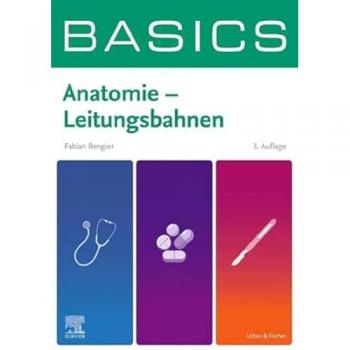 BASICS Anatomie
