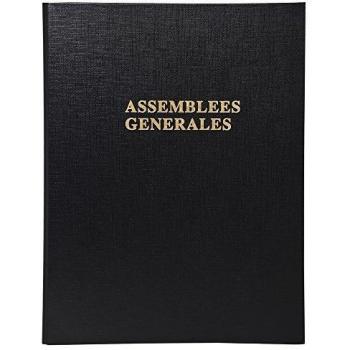 Exacompta 539E Pack de 10 Reliures à 4 Anneaux pour Réunions et Assemblées générales