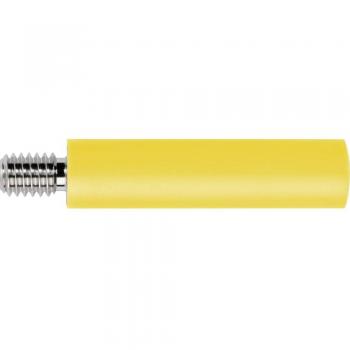 Schützinger BU 2244 S Ni/GE White Electrical Socket