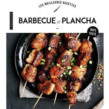 Barbecue et plancha