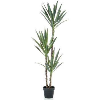 Green Yucca Vaso 150 cm