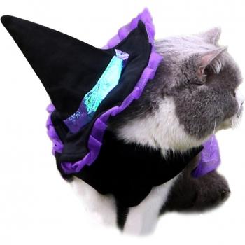 Vêtements de fête pour chiot