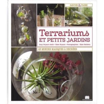 Terrariums Et Petits Jardins