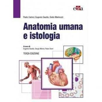 Anatomia umana e istologia