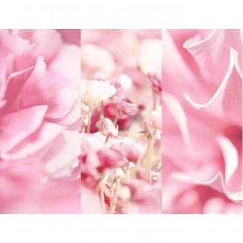 Hidrofugal Velvet Blossom Frutta & Fiori
