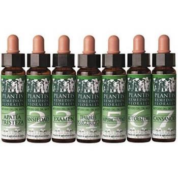 Vervain Plantis No. 31 Elixir (10ml)