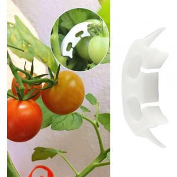 Soporte para plántulas de tomate, 50 unidades/lote