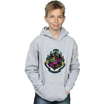 Radiant Gryffindor Crest Hoodie