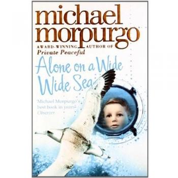 Alone on a Wide Wide Sea
