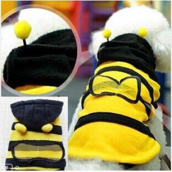 Disfraz de abeja para mascotas