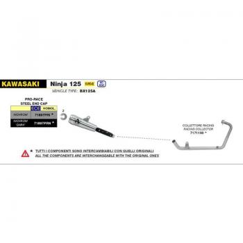 Kawasaki Ninja 125 Slip‑On Nichrom Scuro Pro‑Race di Marmitta