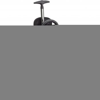 Samsonite Pro‑Dlx 4 Rucksack 30 l – Magnet-Grau