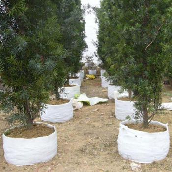 White Non-Woven Plant Bag