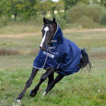 Bucas Freedom Pferde-Regendecke 0g Navy