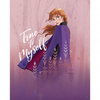 Poster La Reine des Neiges 2