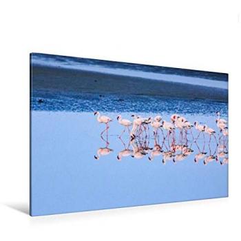 Premium Leinwand Druck: Flamingos & Walvis – 120 x 80 cm, Keilrahmen