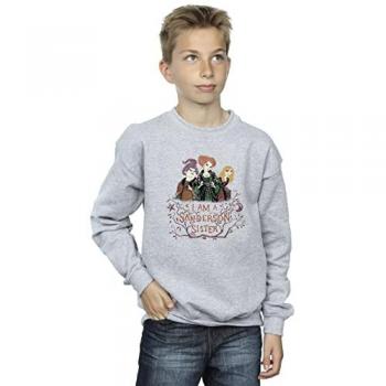 Sorcerer’s Tale Boy’s Sweater – Hocus Pocus Series (Size 7‑8)
