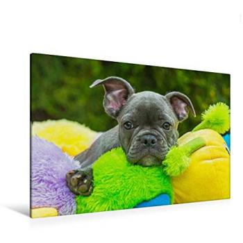 Calvendo Schlafenszeit Textil­Leinwand 120x80 cm – Tierfoto Edition