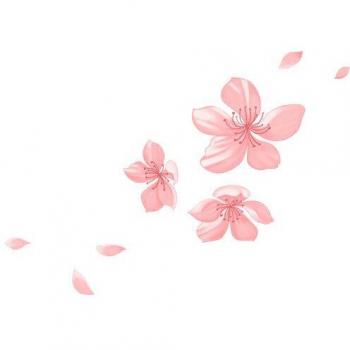 Fleur de Cerisier Autocollant pour Automobile