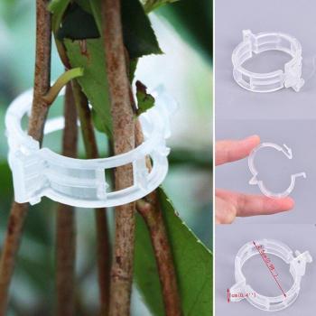 50pcs Plastic Clips for Supporting Vines and Vegetables