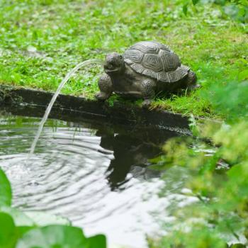 Fontaine Tortue Ubbink Décorée pour Jardin