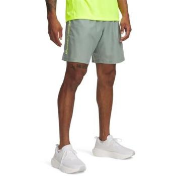 Silica Green Mesh Shorts – Men's Tech