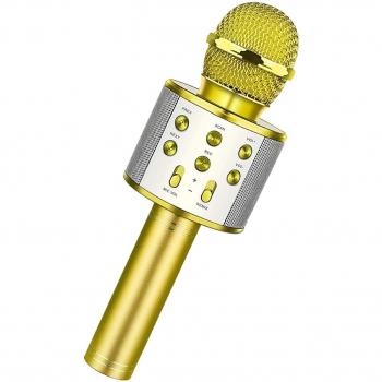 Home Hit Party Mic
