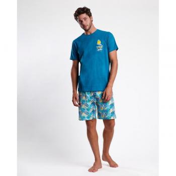 Noche Piña y Punto Azul