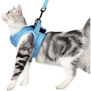 Harnais et Laisse Extra Léger avec Col en Forme de Chat pour Chats, Veste de Marche Confortable et Antif