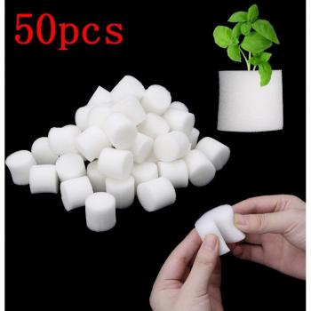 Set de Esponjas 50 Unidades para Jardinería