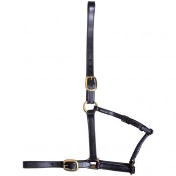 GFS One-Size Brown Leather Yearling Head Strap