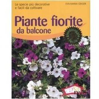 Piante fiorite da balcone. Le specie più decorative e facili da coltivare