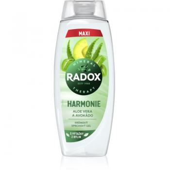 Radox Terapia Minerale Gel Doccia Aloe Vera e Avocado 450 ml