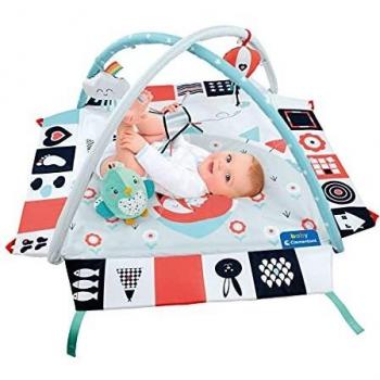 Salle de Sport Premiers Mois Bébé 3 en 1, Multicolore