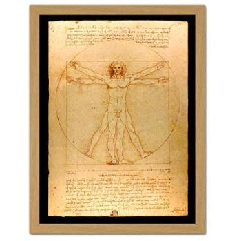 Da Vinci Human Anatomy Wall Decor – Large 18 x 24 Vitruvian Figure in Light Oak Frame