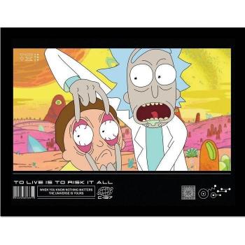 Póster Classrickal Rick And Morty 40cm Arriesga Todo con Marco Negro