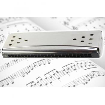 Armonica a Bocca 24 Fori Blues Harp in Do e Sol
