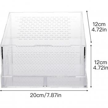 Translucent Insect Climbing Box