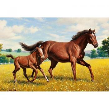 Pittura a Diamante 5D DIY Cavallo in Corsa 20X30CM