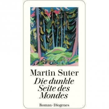Die dunkle Seite des Mondes. Roman (detebe) Roman Suter, Martin: