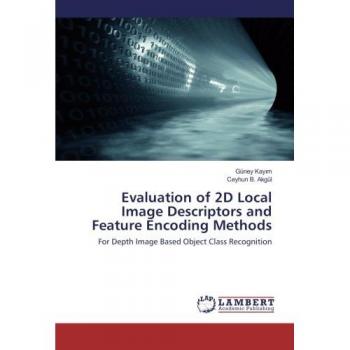 Evaluation of 2D Local Image Descriptors and Feature Encoding Methods: For Depth Image Based Object Class Recognition