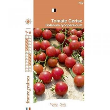Tomate Cerise