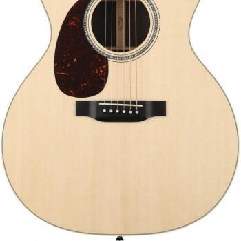 Martin GPC-16E Rosewood pour gaucher