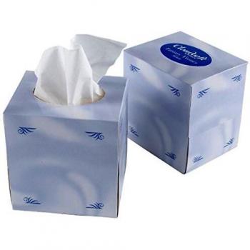 Cloudsoft CF204 Gentle Care Facial Tissues Cube